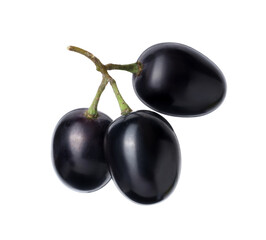 Delicious ripe dark blue grapes isolated on white
