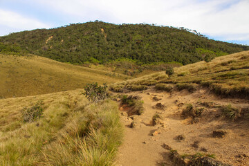 Valley in Horton Plains National Park In Sri Lanka.