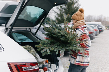 Woman loading Christmas tree brunches to her car trunk after shopping and harvesting at Eco Pine and Fir tree Farm. 