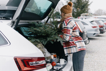 Woman loading Christmas tree brunches to her car trunk after shopping and harvesting at Eco Pine and Fir tree Farm. 