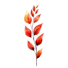 watercolor Autumn flowers isolated on transparent background