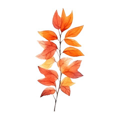 Naklejka premium watercolor Autumn flowers isolated on transparent background