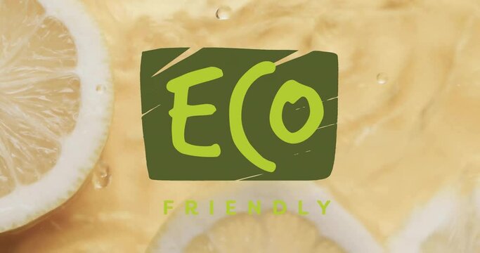 Animation of eco friendly text over slices of lemon falling in water background
