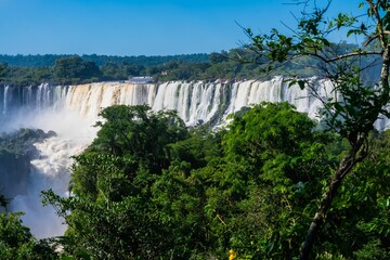 Scenic view of Iguazu Falls on a sunny day, crashing down amidst the lush tropical greenery