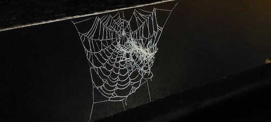 Spider web delicately draped on the corner of a wall