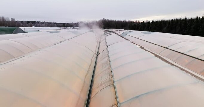 Aerial view of steam rising from a heated greenhouse, on a gloomy winter day