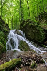 Fototapeta na wymiar Scenic view of a waterfall cascading down the mossy rocks in a forest