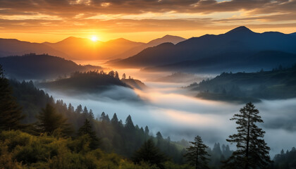 A Breathtaking Winter Sunrise in the Misty Mountains: Nature's Wonderland