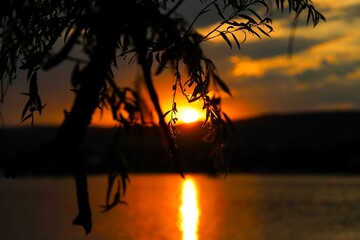 the sun rises over a lake as it shines behind a tree