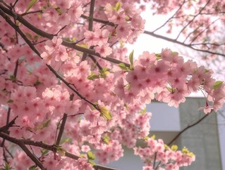 AI generated illustration of pink blossoms blooming in front of a modern brick building