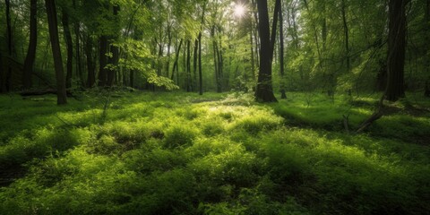 AI generated illustration of a lush forest with tall trees and vibrant green foliage
