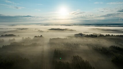 Aerial view flying over remote forest covered in nordic morning haze - Powered by Adobe