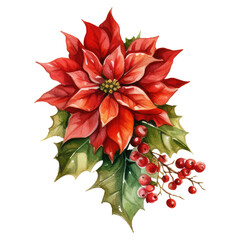 watercolor Christmas flowers isolated on transparent background