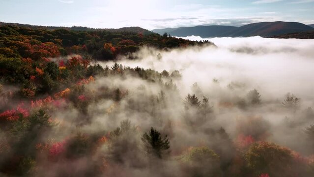 light rays penetrate the fog on an autumn sunrise in the Catskills Mountains Upstate New York
