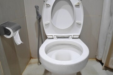 Toilet seat is in the open position. The bathroom is narrow and equipped with tissue on the wall.