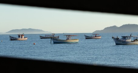 Cluster of small boats all bobbing in unison in a tranquil body of water