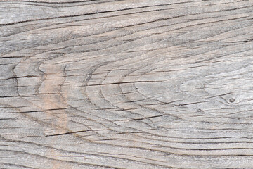 Detail of a weathered wood board, grey in color, with cracks and a visible tree ring pattern.
