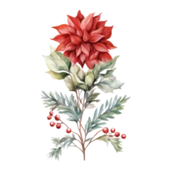  watercolor Christmas flowers isolated on transparent background © kharom