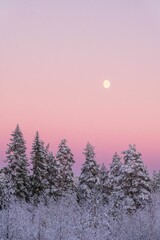 the full moon shines brightly over snow covered trees in this landscape