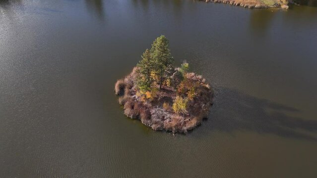 Aerial Marvel: McQueen Lake's Lonely Island from Above in British Columbia's Untouched Wilderness