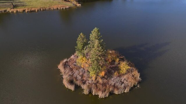 Lonely Island Serenity: A Bird's-Eye View of McQueen Lake's Tranquil Oasis in British Columbia