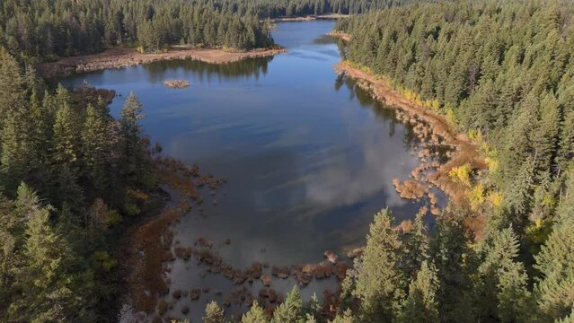 Aerial Serenity: Exploring the Natural Beauty of McQueen Lake in British Columbia, Surrounded by Unspoiled Spruce Forest