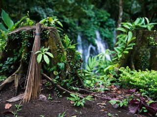 Tree stump covered in lush green grass with a broom nearby in front of a picturesque waterfall.