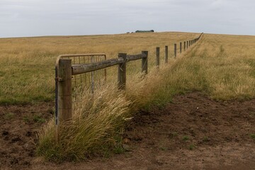 Rustic fence stretches across a sun-bleached grassy field on Phillip Island,Victoria,Australia