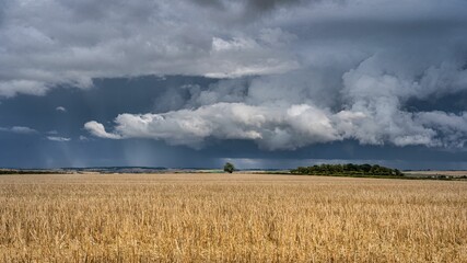 Fototapeta premium stormy skies over a harvested field on a cloudy day in the country