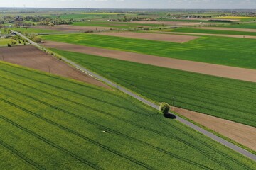 Aerial shot showcases expansive farmland with a road and farm structure in the background