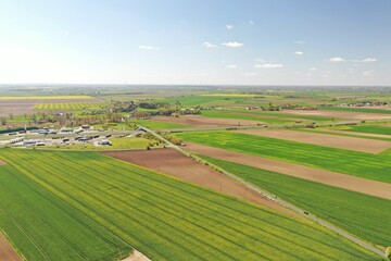 Fototapeta na wymiar Rural landscape featuring a patchwork of golden-hued crop fields and winding roads