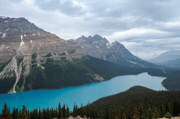 Majestic landscape depicts the Peyto lake surrounded by majestic mountains in Banff, Canada