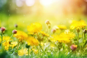 Keuken spatwand met foto AI generated illustration of a vibrant landscape of a sun-soaked field of bright yellow wildflowers © Wirestock