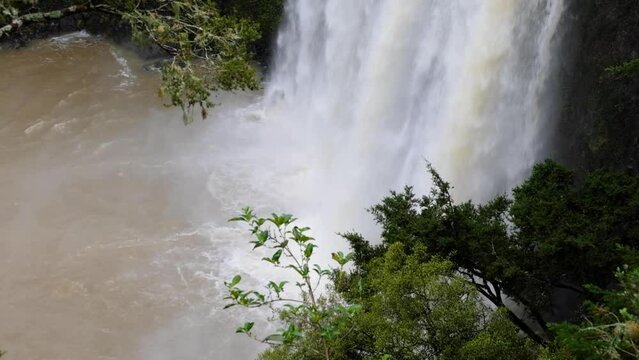 Close up of flooded Whangarei Waterfall with white water into pool in New Zealand Aotearoa