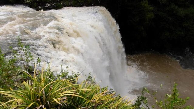 Close up of fast flowing, raging Whangarei Waterfalls after heavy rain and flooding in North Island of New Zealand Aotearoa