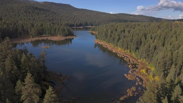 McQueen Lake's Tranquil Aerial Showcase: A Beautiful Lake Nestled amid Pristine Spruce Forest in British Columbia