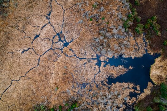 Aerial drone image of water and marsh patterns