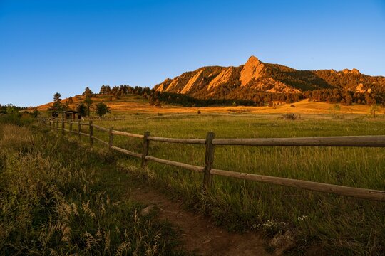 Picturesque landscape of a grassy meadow with lush trees and rocky hills bathed in golden sunlight