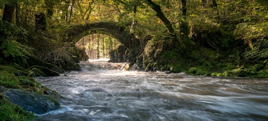 Tranquil river flowing under the Penmachno Bridge in a lush forest
