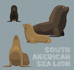South American Sea Lion Cartoon Vector Illustration
