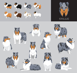 Dog Collie Blue Merle Coat Cartoon Vector Illustration Color Variation Set