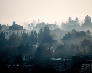 Morning scene of Seattle Saint Mark Episcopal Cathedral surrounded by trees shrouded in fog