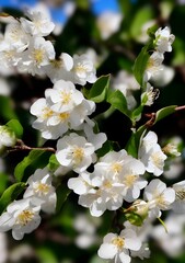 Obraz premium AI generated illustration of blooming tree branch with pink flowers