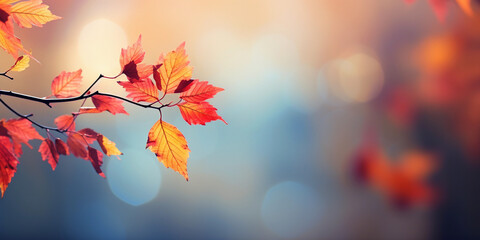 Naklejka na ściany i meble Autumn maple leaves on blurred bokeh background. Beautiful autumnal background