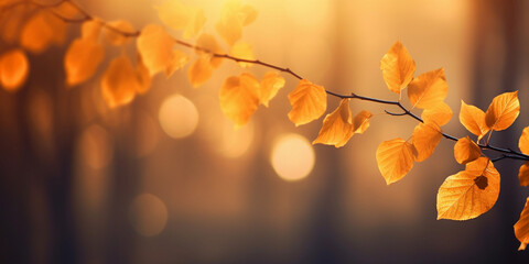 Naklejka na ściany i meble Autumn maple leaves on blurred background. Beautiful autumnal background