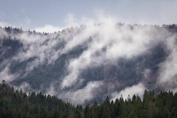 Scenic view of a mountain landscape with trees and misty fog rolling through the sky
