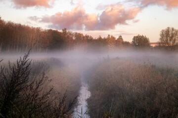 Naklejka na ściany i meble Beautiful shot of a layer of mist floating over a serene pond in a forest at sunset