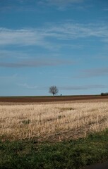 Obraz premium Rural landscape featuring an open grassy field