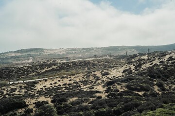 Arid landscape featuring hills and a valley with dark shrubs. Los Vilos, Chile.
