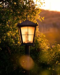 Vertical shot of a lamppost in a park during the golden hour in the evening